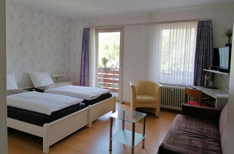 Hotel-Pension Waldhaus Bad Grund Εξωτερικό φωτογραφία